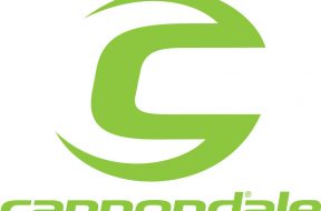 Ccannondale-website-logo